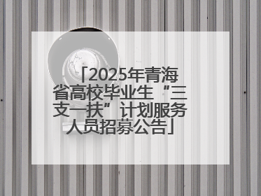 2025年青海省高校毕业生“三支一扶”计划服务人员招募公告