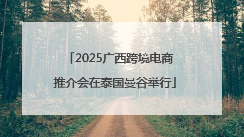 2025广西跨境电商推介会在泰国曼谷举行