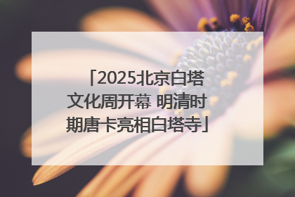 2025北京白塔文化周开幕 明清时期唐卡亮相白塔寺