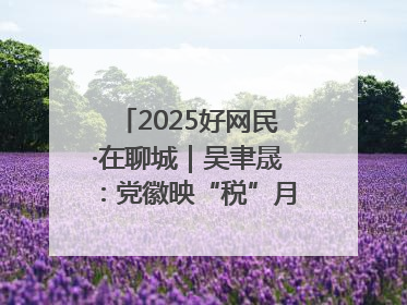 2025好网民·在聊城｜吴聿晟：党徽映“税”月 网播传政声