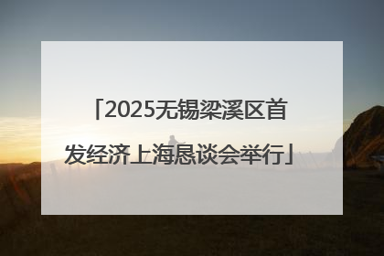 2025无锡梁溪区首发经济上海恳谈会举行