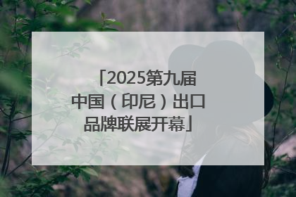2025第九届中国（印尼）出口品牌联展开幕