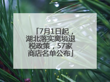 7月1日起，湖北落实离境退税政策，57家商店名单公布