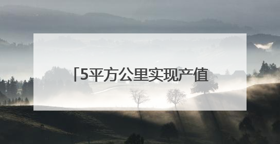 5平方公里实现产值170亿元，贵州这个小镇因“数”而生