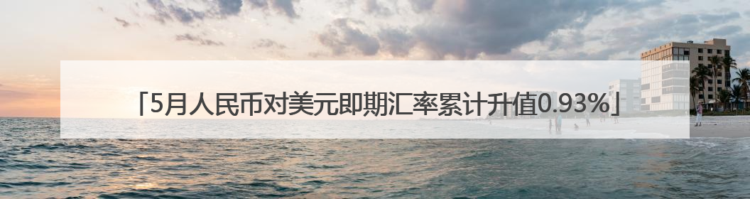 5月人民币对美元即期汇率累计升值0.93%