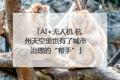 AI+无人机 杭州天空里也有了城市治理的“帮手”