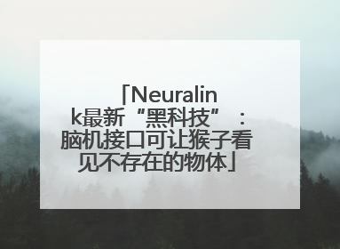 Neuralink最新“黑科技”：脑机接口可让猴子看见不存在的物体